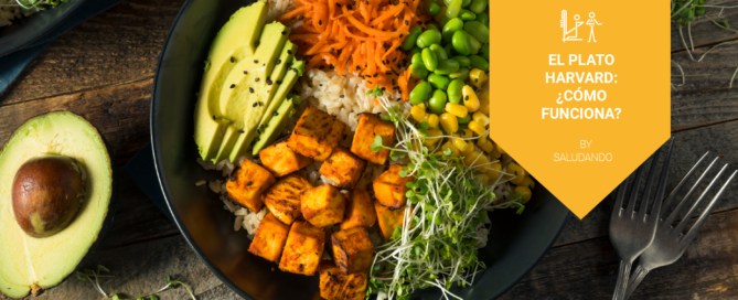 ¿Qué es un plato saludable?