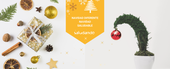 Banner Navidad diferente Navidad saludable